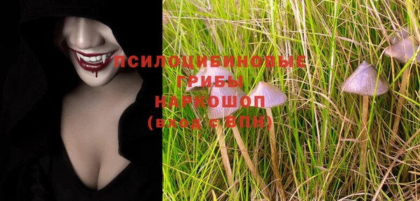 синтетический гашиш Алексин