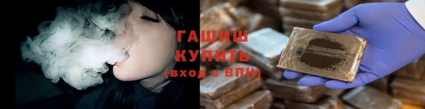 стаф Алзамай