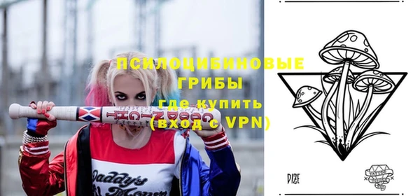 стаф Алзамай