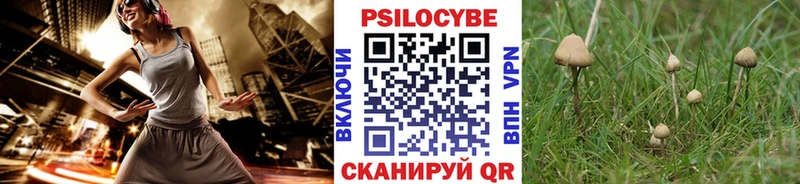 где найти   Слюдянка  Галлюциногенные грибы MAGIC MUSHROOMS 