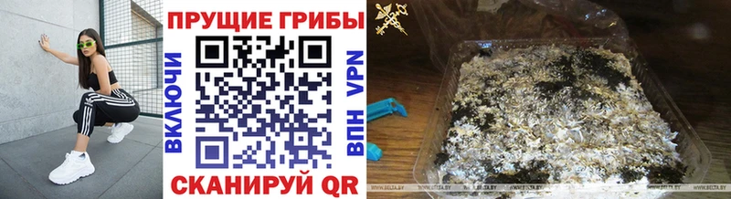Псилоцибиновые грибы мухоморы Слюдянка